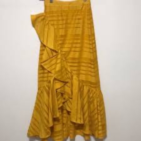 Asymmetrical Ruffle Midi Skirt - Picture 2 of 3